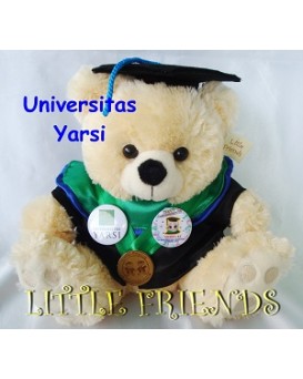 Boneka Wisuda Universitas Yarsi - Bisnis (30 cm)